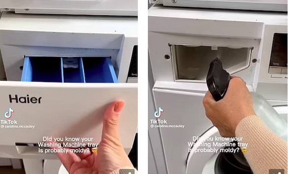 نظفي درج المنظفات في الغسالة كل