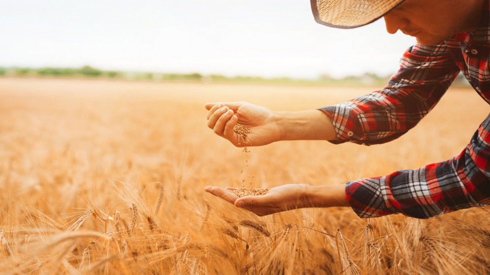 اجتماع دولي حول الأزمة الغذائية العالمية