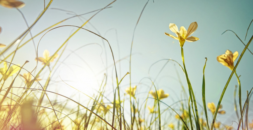 طقس الاربعاء: ما زالت الحاجة لارتداء