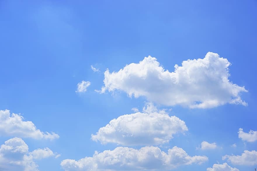 يوم صيفي عادي