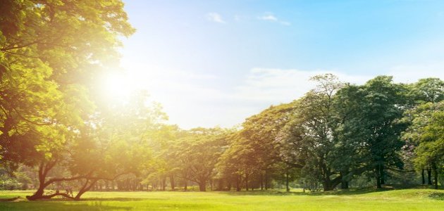 يوم صيفي معتدل