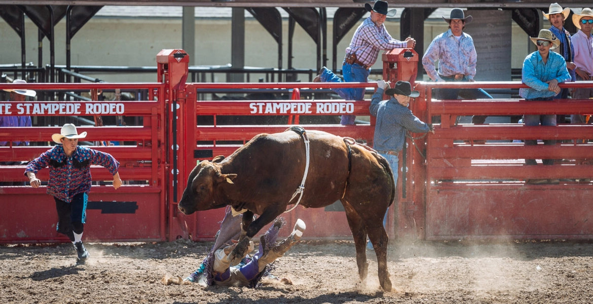 مصرع 4 أشخاص في انهيار حلبة