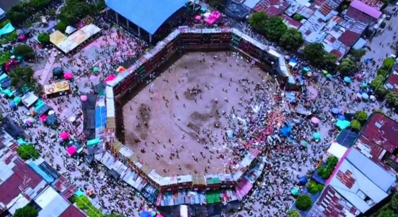 شاهد التصوير الغريب لمدرج ينهار ويقتل