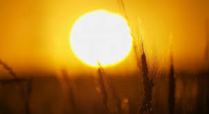 درجات الحرارة الى الارتفاع قليلا