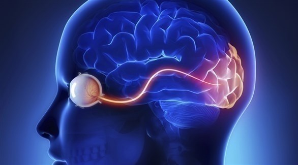 صورة لشبكية العين تتنبأ بالنوبة القلبية