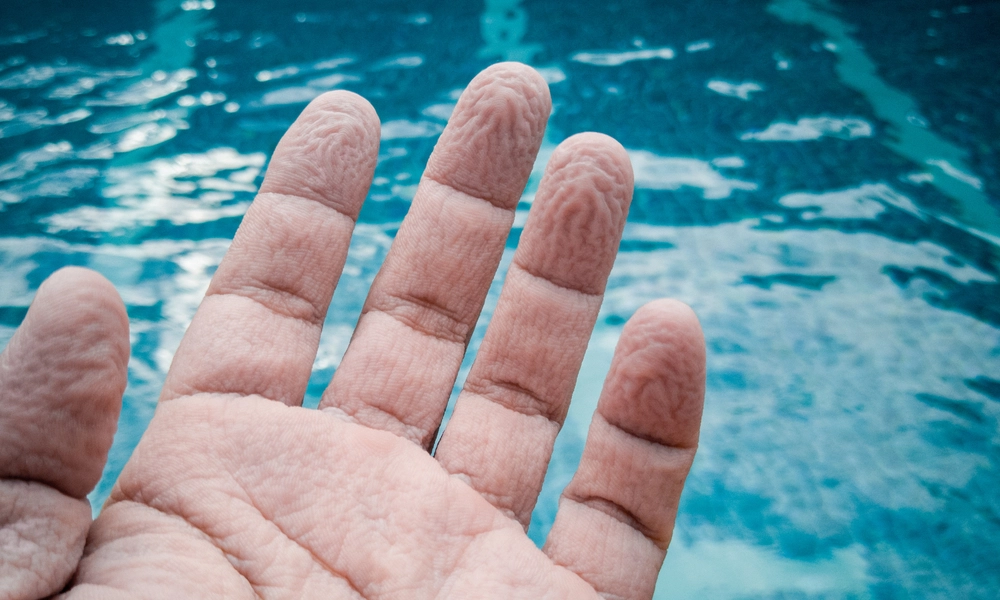 لماذا تتجعّد أصابعك إذا تركتها طويلا