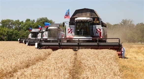 صادرات الحبوب الأوكرانية تتراجع 43%