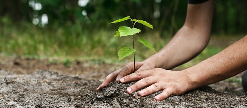 “الزراعة” ستعزز كوادر “الإرشاد” بـ300 مهندس