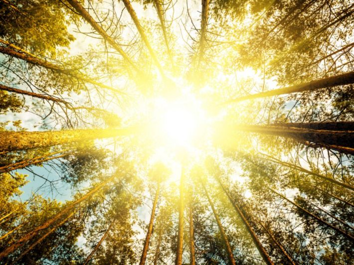 طقس الاثنين: لا تتعرضوا لأشعة الشمس