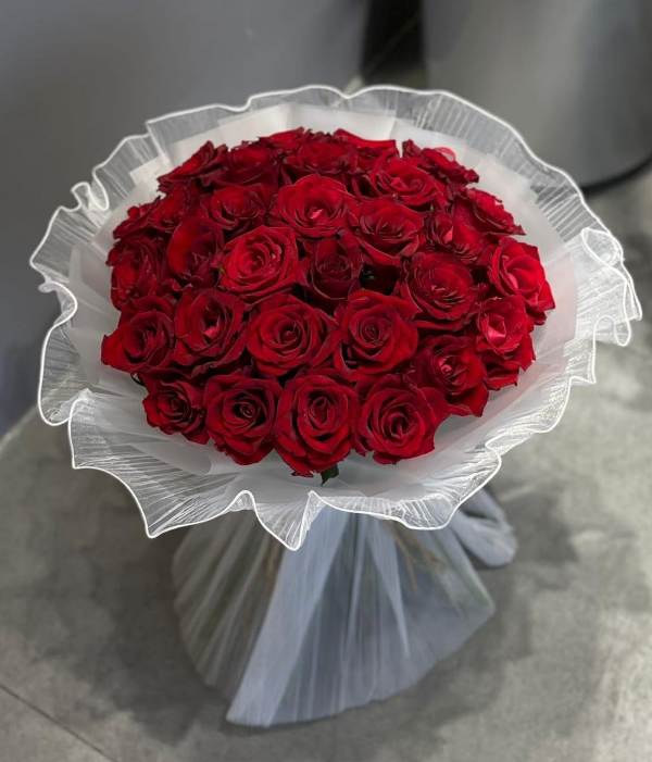 أحمد مصطفى الحوارات في القفص الذهبي