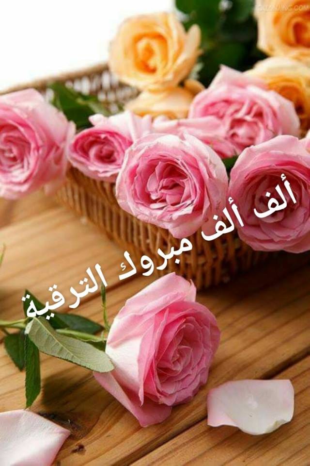 الدكتورة ريم الربضي.. مبارك رتبة الأستاذية