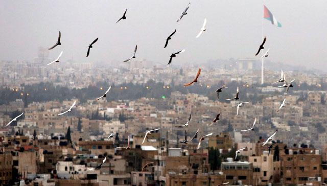 طقس الاربعاء: لطيف بدرجات حرارة تنخفض