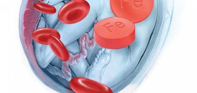 إجهاد الحامل يمنع الجنين من امتصاص