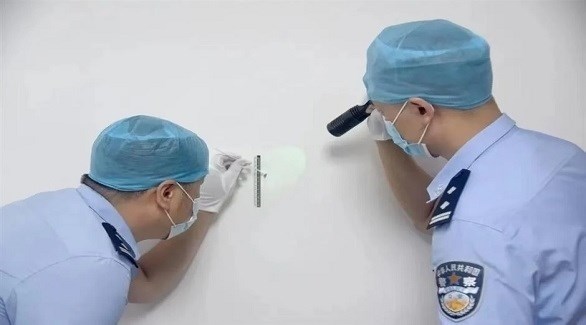 قتل بعوضة في مسرح الجريمة يساعد