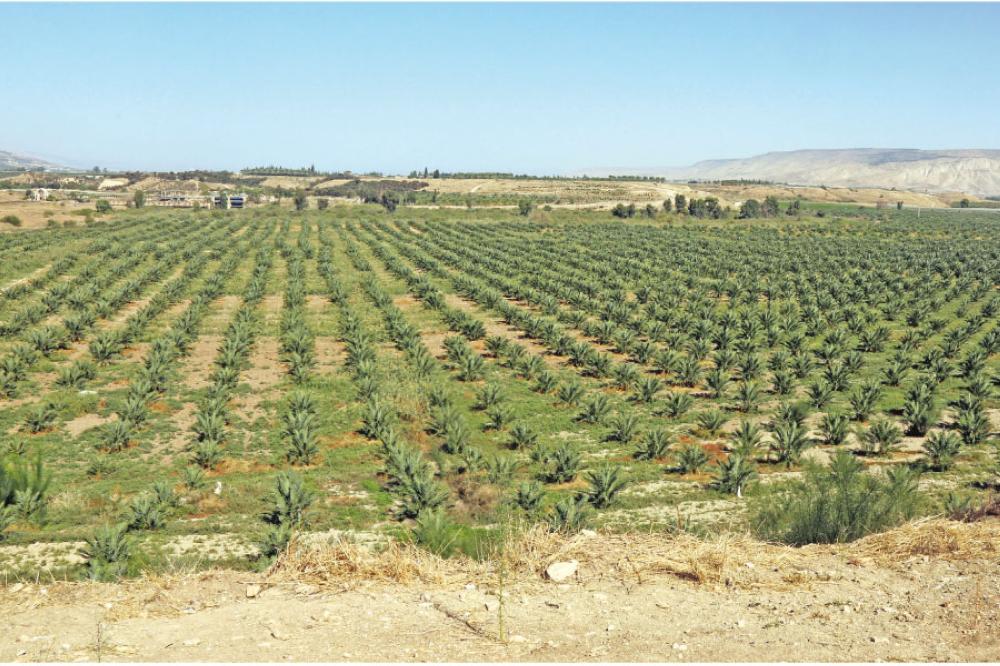 “وادي الأردن”: لا خوف من نقص