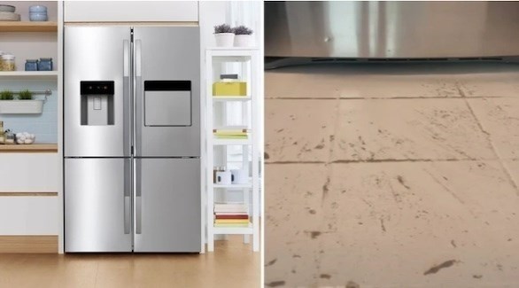 نظفي هذا الجزء من الثلاجة إذا