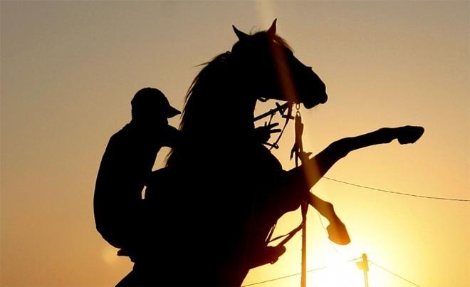 التربية تعلق على الخيال الذي غشش