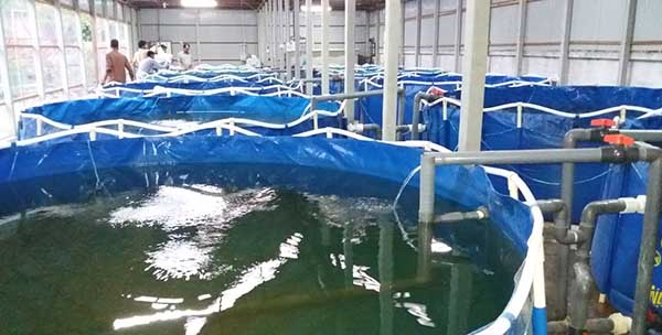 وزير الزراعة يؤكد استدامة دعم قطاع