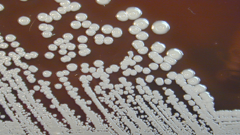 الولايات المتحدة في حالة تأهب بسبب