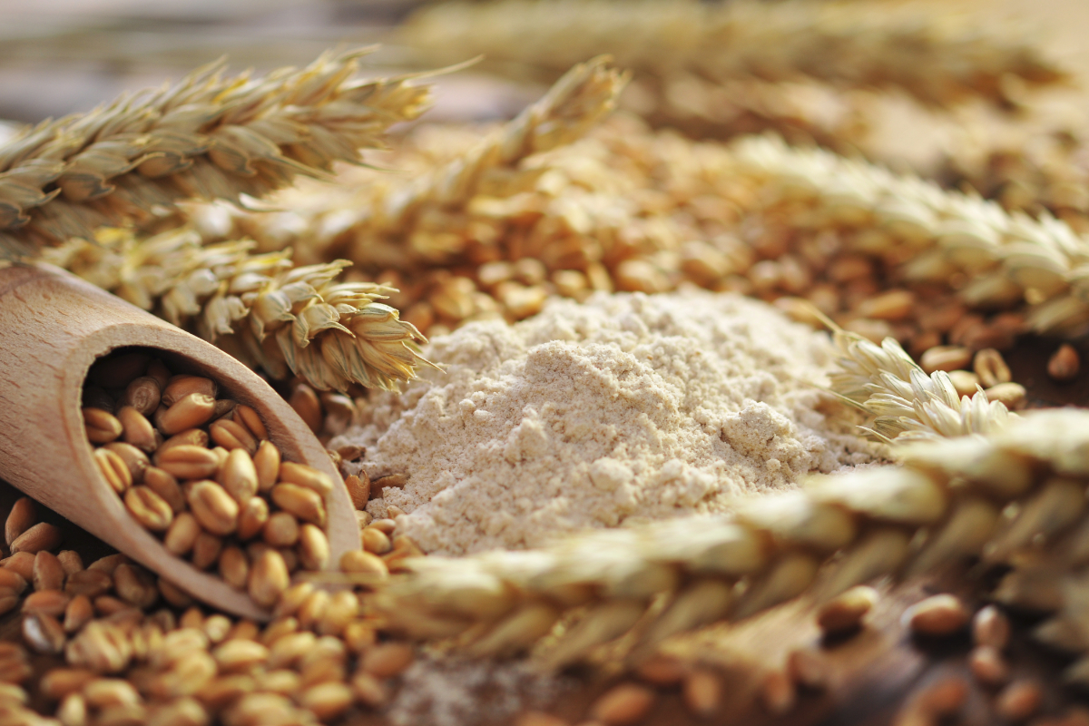 الصناعة: عطاء لشراء 340 ألف طن