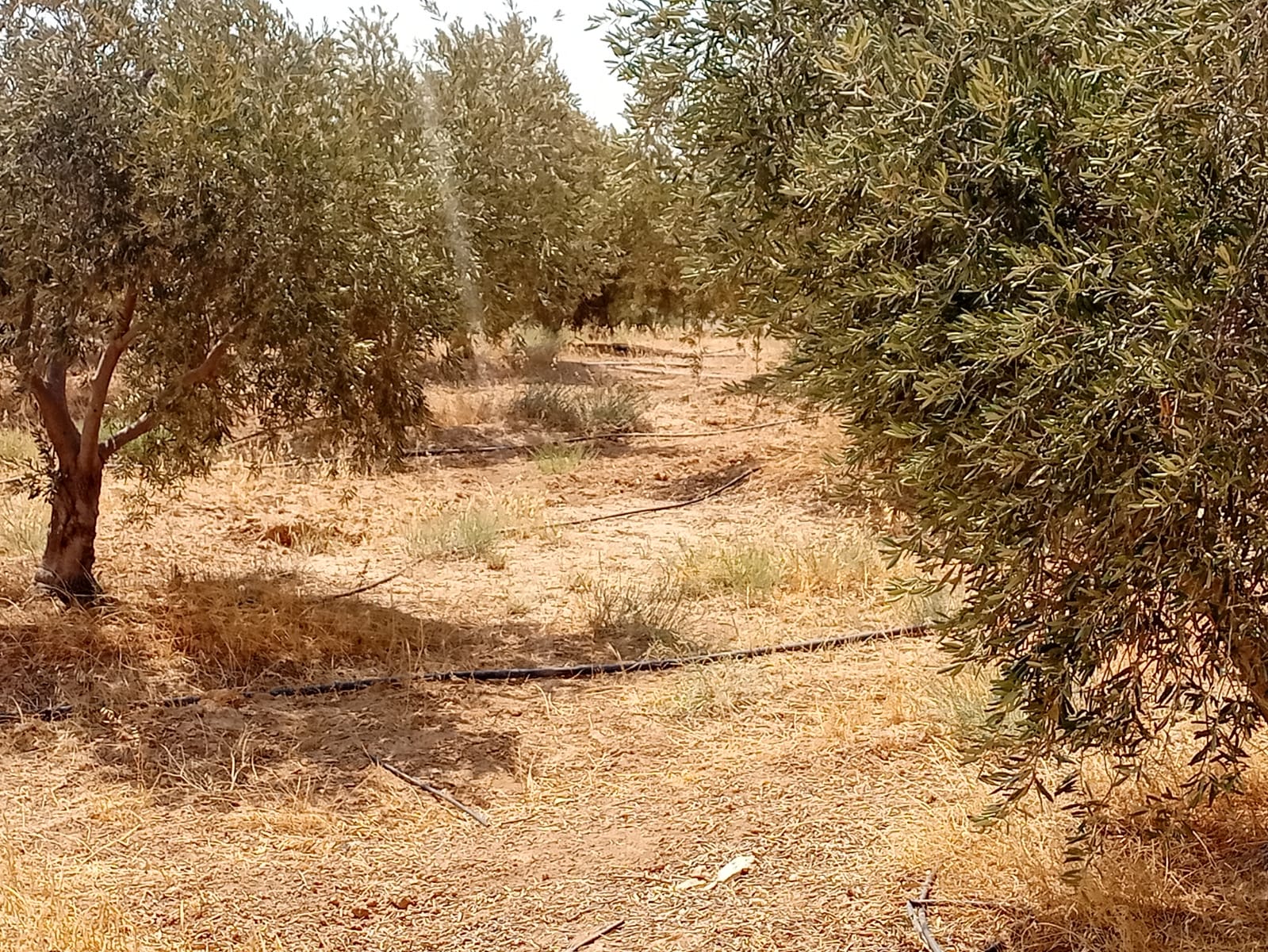 المياه : ضبط اعتداءات كبيرة في