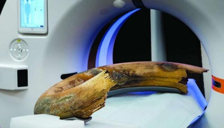 لأول مرة.. التصوير المقطعي يكشف عمر