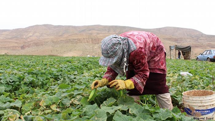 مزارعون يطالبون رئيس الوزراء بالسماح لاستقدام