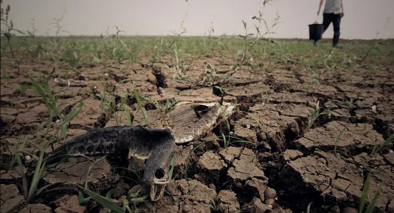 لحماية محاصيلها الاستراتيجية من الجفاف.. الصين