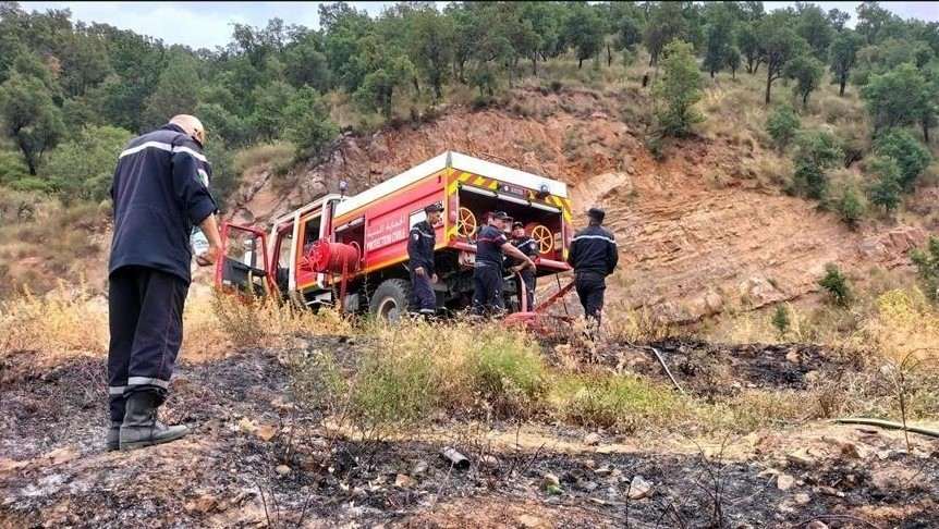 الجزائر تعلن توقيف 13 مشتبها بهم