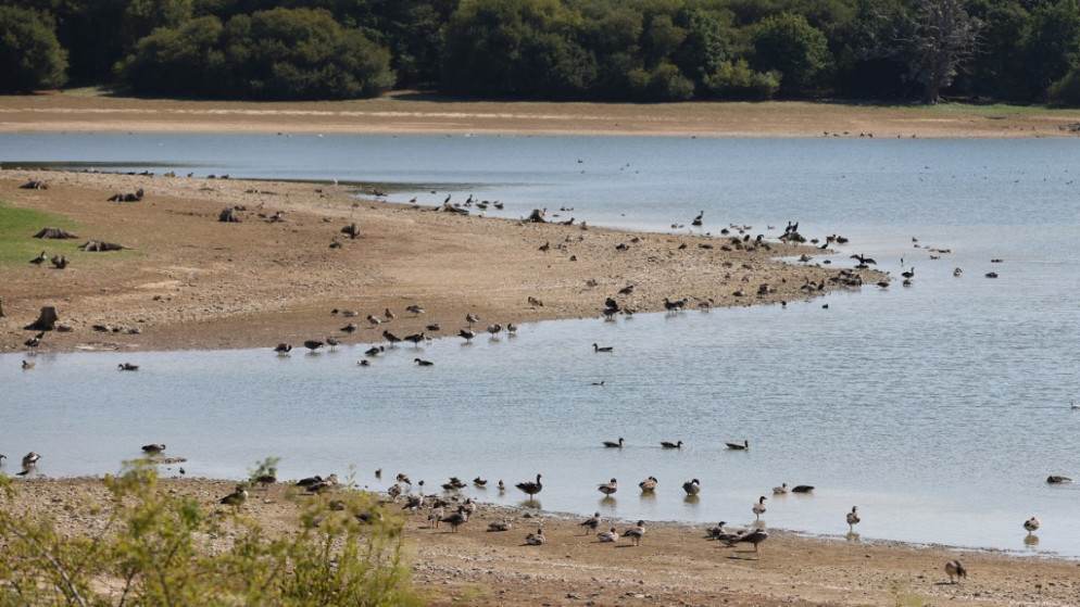 دراسة: أوروبا تواجه أسوأ جفاف منذ