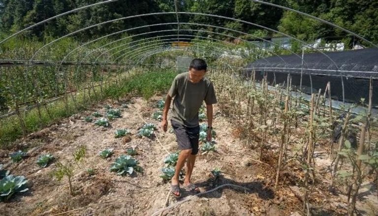 الجفاف يضرب نصف أراضي الصين