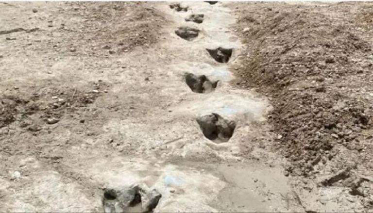 اكتشاف آثار أقدام ديناصورات عمرها 113