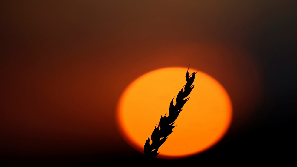 الأردن يتأثر السبت بموجة حر تعد