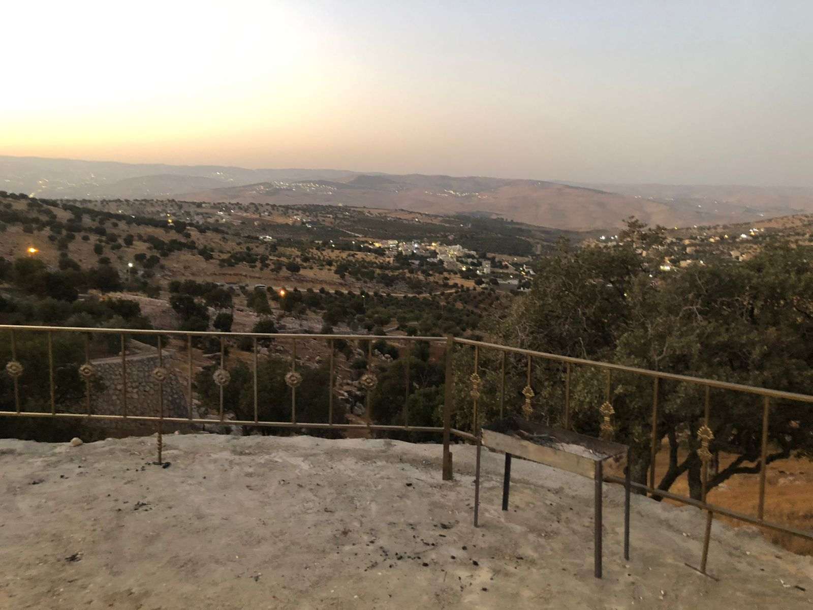 الزيود يكتب: طلّة عليا