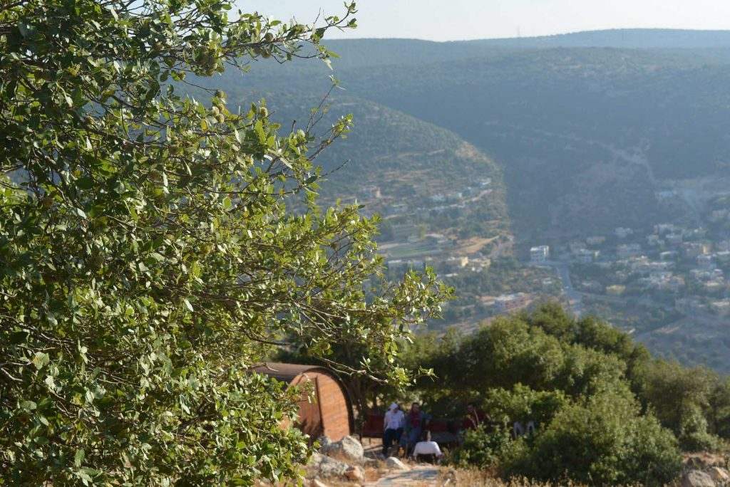 تكثيف حملات النظافة البيئية في عجلون