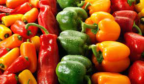 جباكو توقع اتفاقية لتصدير 700 طن