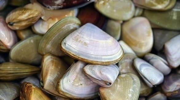 تستيقظ لتكتشف بأنها مشلولة الحركة ..