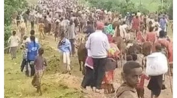 ميليشيا من الأمهرة تقتل 100 إثيوبيا