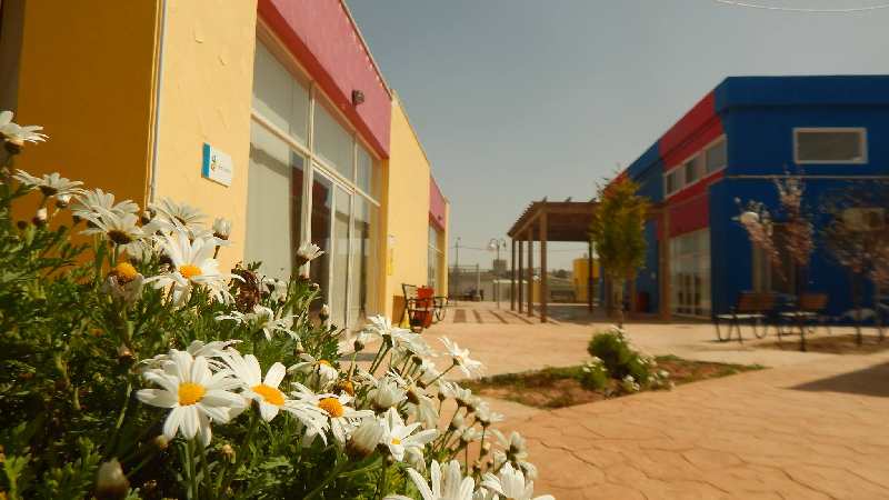 زها الثقافي في المستندة ،،، استياء