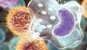 التمارين المنتظمة تغير كيمياء عضلات المريض