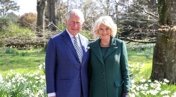 ضرة الأميرة ديانا.. هل تصبح ملكة؟