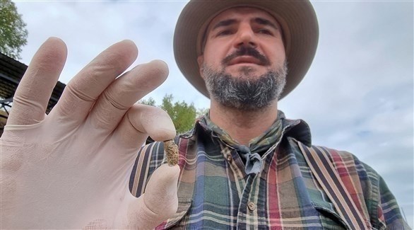 العثور على سن بشرية عمرها 1.8