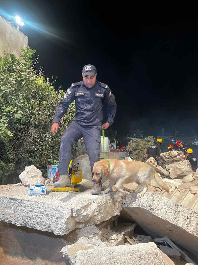 استخدام كلاب البحث من قبل فريق