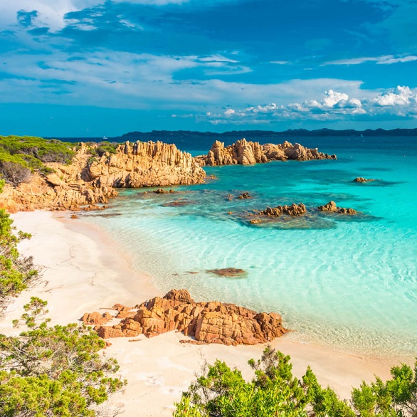 أغرب غرامات يتفاجأ بها المسافرون