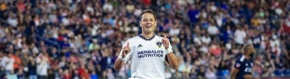 استبعاد فيلا وتشيتشاريتو من المونديال