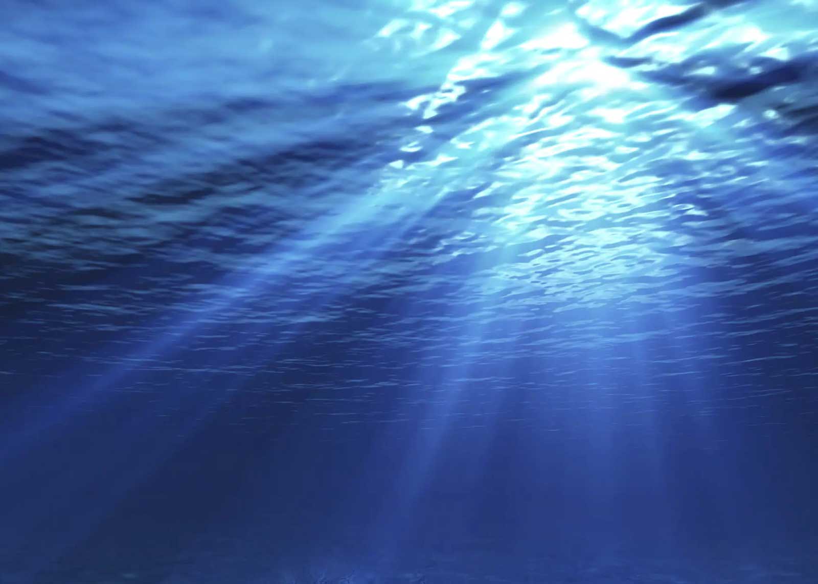 علماء يرصدون كائنات غريبة بأعماق البحار