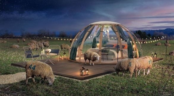 أول تجربة نوم حقيقية في العالم