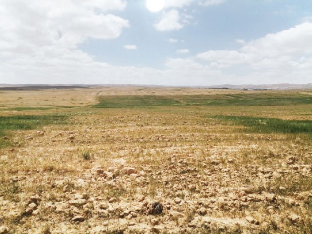 المركز الوطني للعدالة البيئية يطالب بتطوير