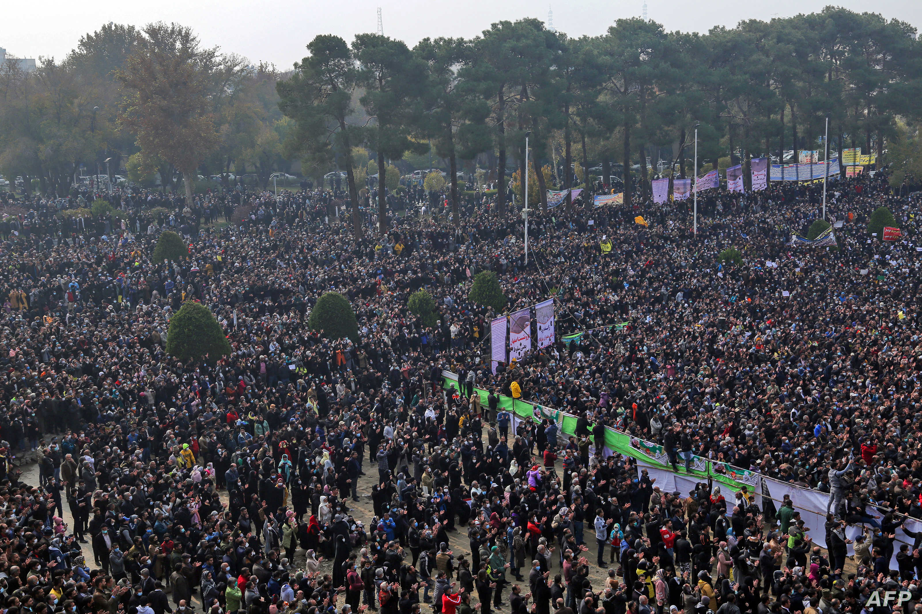 نصر الله يدخل على خط نصرالله