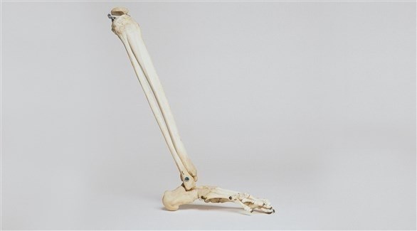 الحاجة إلى مكملات الكالسيوم تبدأ قبل